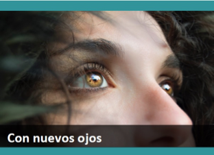 imagen1